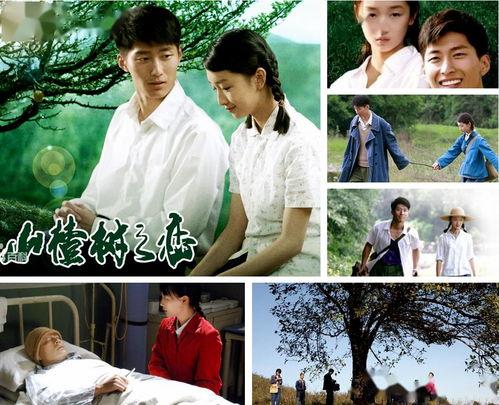 山楂树之恋电影背景,岁月静好，青春无悔的乡村爱情史诗